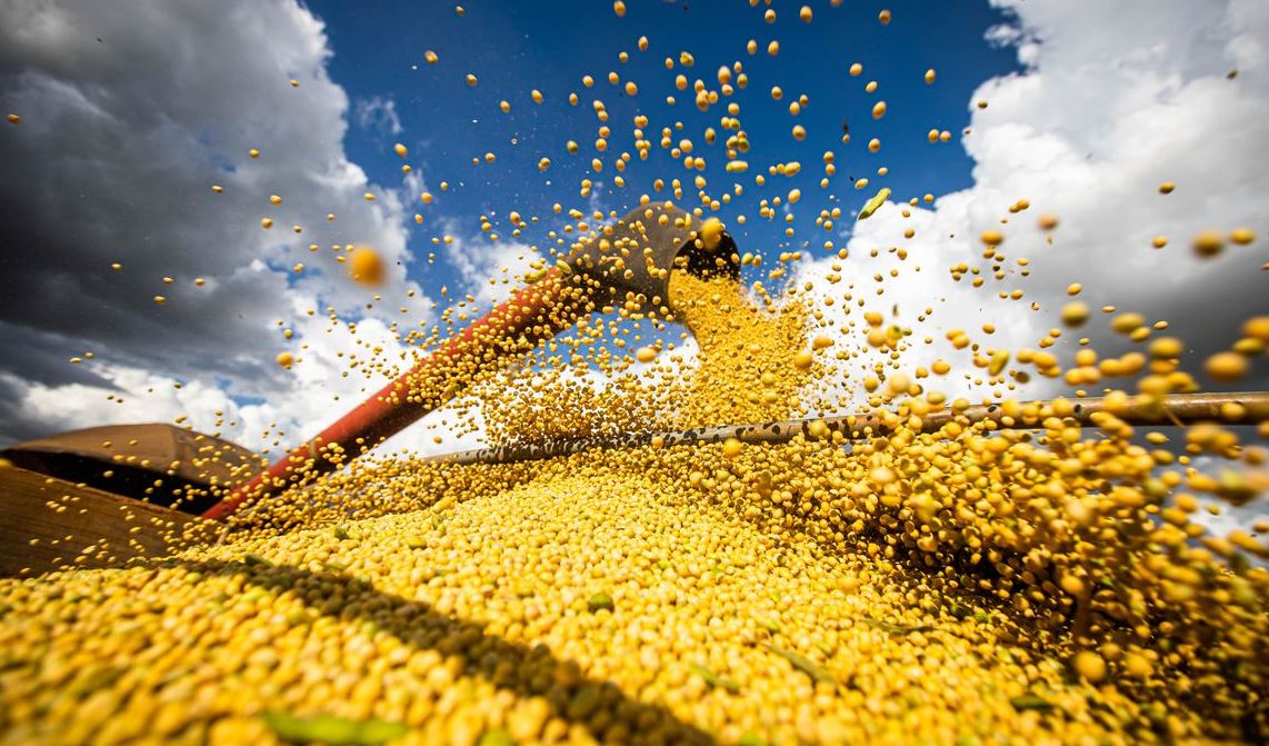 Produção agrícola do Brasil atinge R$ 927 bilhões em 2025