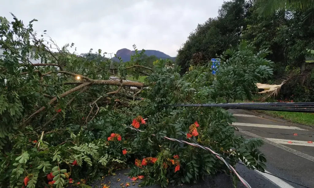 Alerta de Tempestade: Nova Frente Fria Atinge Região Sul do Brasil