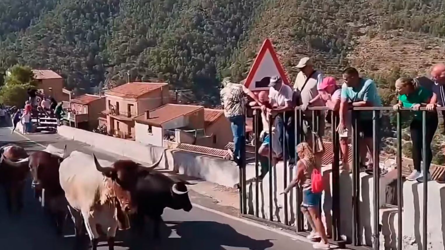 Tragédia em Festa na Espanha: Turista Morre Após Ataque de Touro