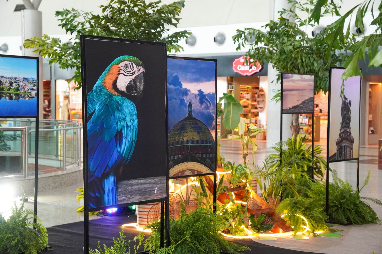 Exposição fotográfica homenageia os 357 anos de Manaus no aeroporto