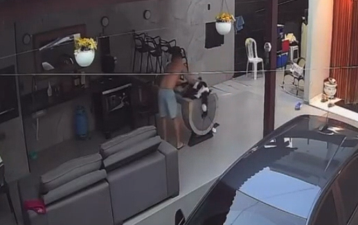 Homem é preso em Manaus após agredir cachorro em vídeo divulgado