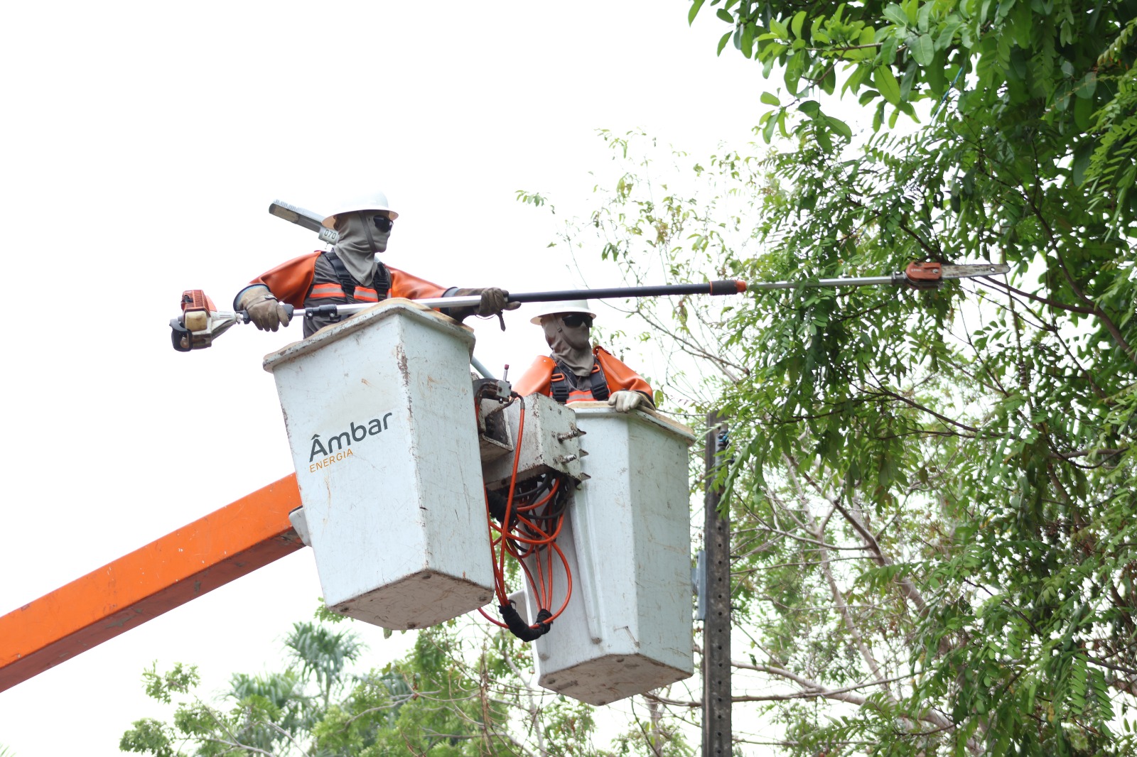 Âmbar Energia realiza mais de 2,3 mil ações na rede elétrica do Amazonas