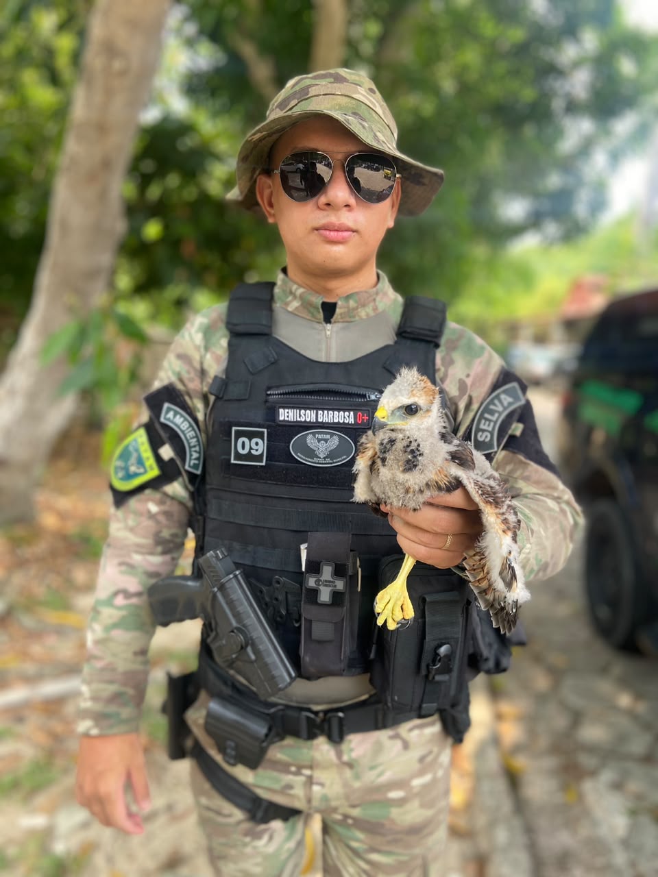 Resgate de animais silvestres é realizado em Manaus