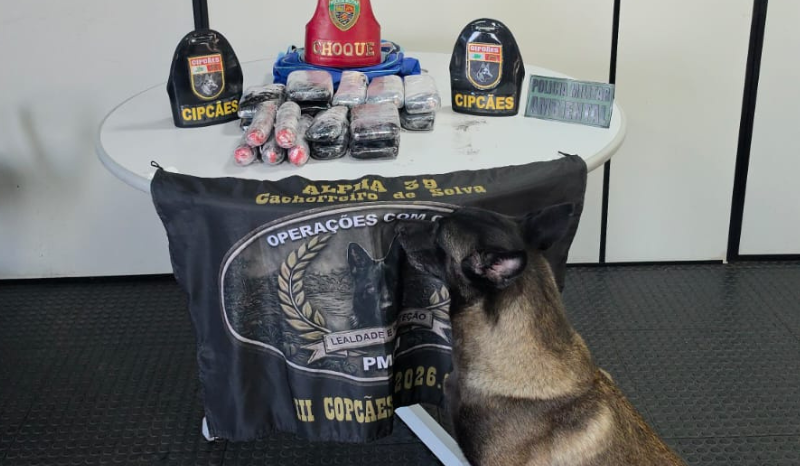 Operações em Jutaí apreendem 15 kg de drogas e geram R$ 830 mil em prejuízo ao tráfico