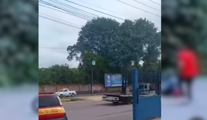 Árvore cai sobre motociclista e passageira na zona norte de Manaus