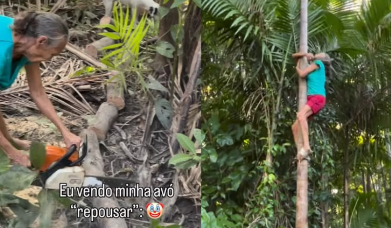 Avó de 71 anos viraliza ao subir em açaizeiro no Pará com disposição