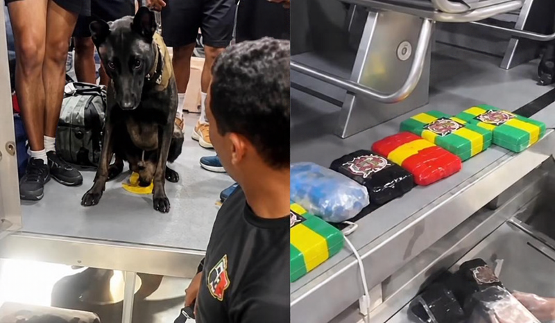 Cão farejador encontra cocaína de R$ 700 mil em barco no Amazonas