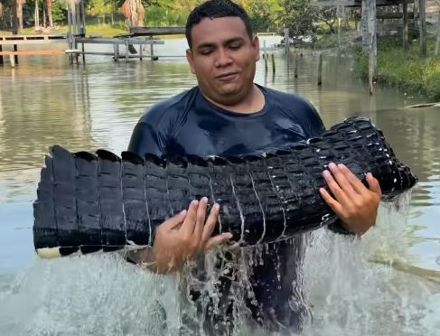 Influenciador do Norte prepara churrasco de jacaré e vídeo viraliza