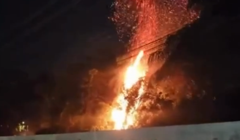 Incêndio em vegetação mobiliza Corpo de Bombeiros na zona norte de Manaus