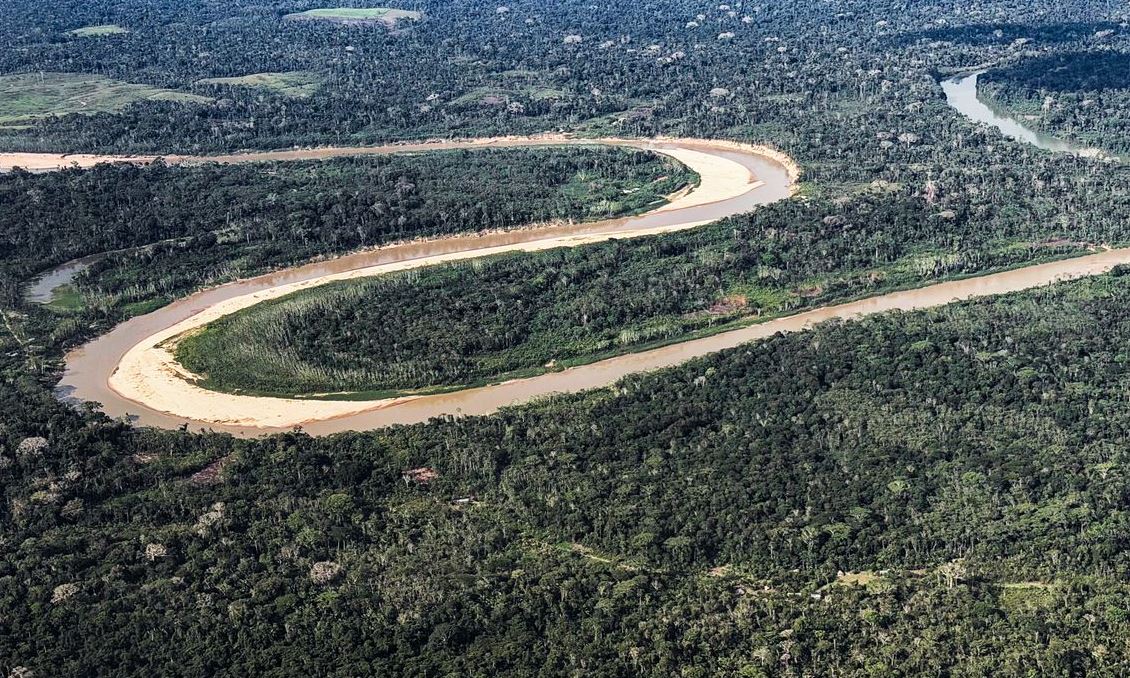 Holanda investe US$ 500 milhões em fundo florestal do Brasil