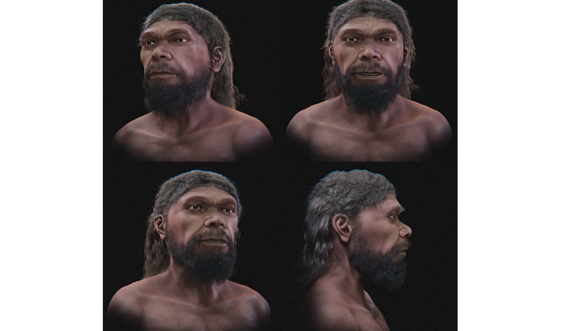 Reconstrução do rosto do Homo sapiens mais antigo revela novas facetas