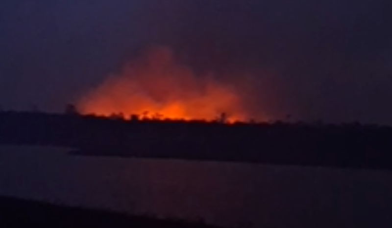 Professor faz apelo urgente sobre incêndio florestal em Iranduba