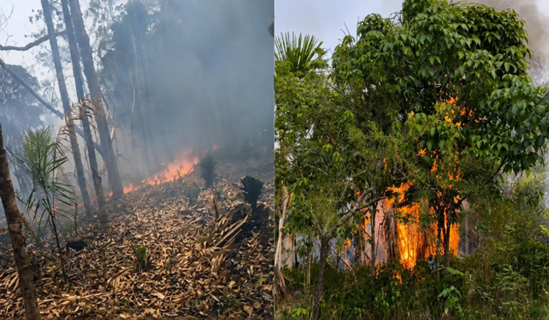 Incêndio em vegetação próximo à comunidade preocupa moradores na AM-070