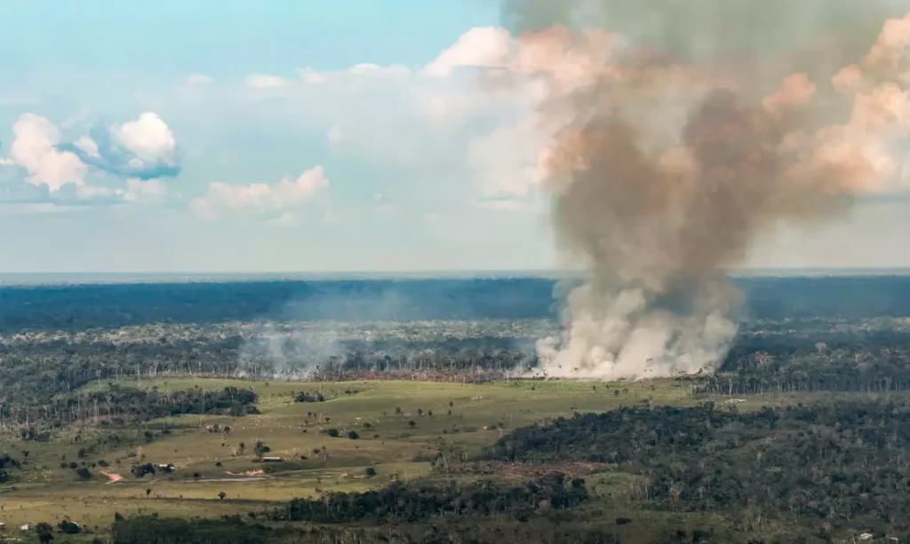 Incêndios florestais no Pará afetam qualidade do ar e saúde da população
