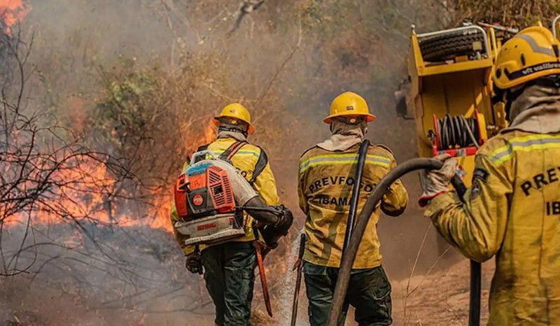 Ministro alerta para incêndios criminosos no Amazonas após sobrevoo