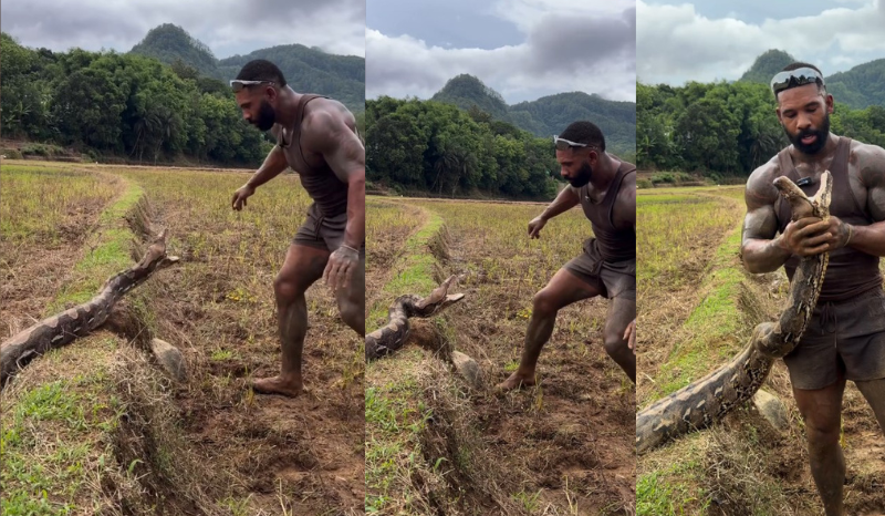 Influenciador Tarzan enfrenta cobra de 5,8m e quase é derrotado
