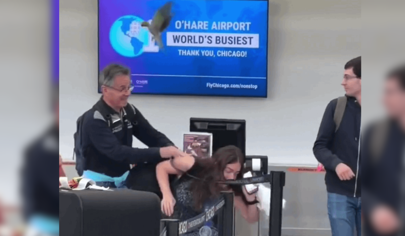 Papagaio provoca confusão em aeroporto de Chicago; assista ao vídeo