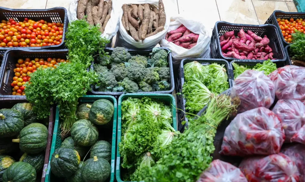 Esforço Coletivo é Fundamental para a Segurança Alimentar no Brasil
