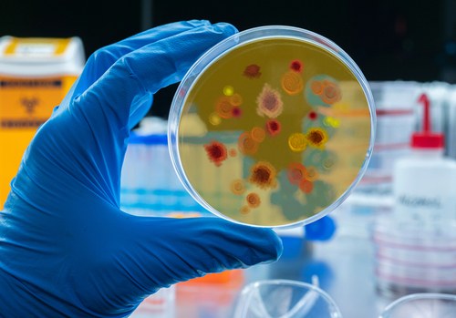 Brasil avança com a primeira vacina contra malária em testes clínicos