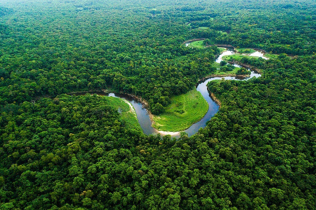 Debate sobre créditos de carbono inclui interesses econômicos e Amazônia