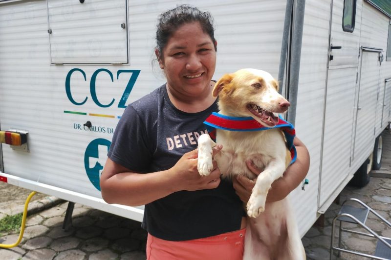 CCZ de Manaus oferece castração gratuita de cães e gatos; agende já
