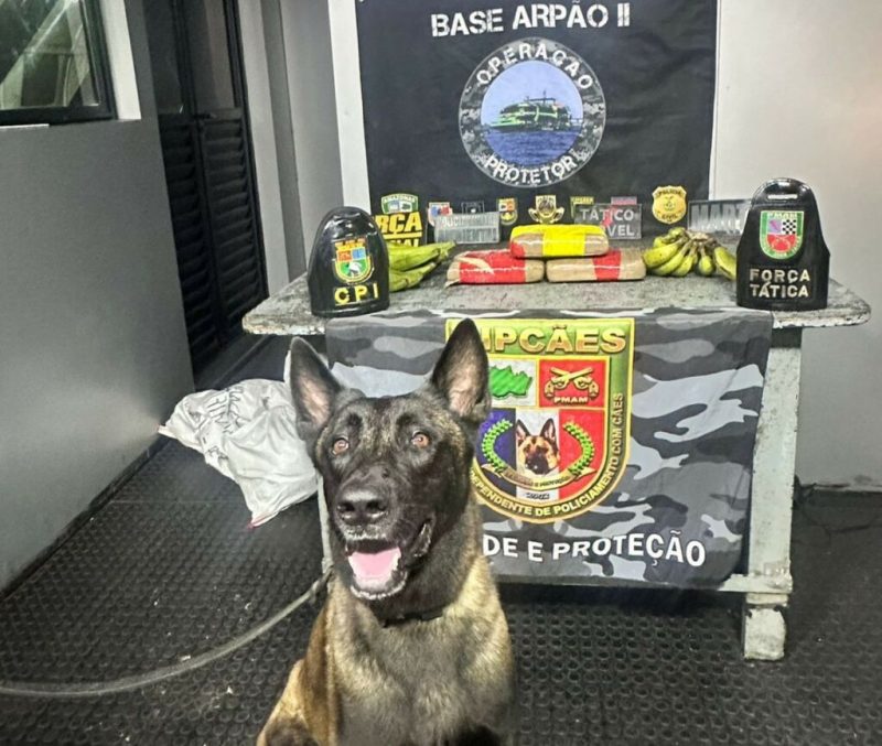 Polícia apreende mais de 14 kg de drogas em embarcação em Coari