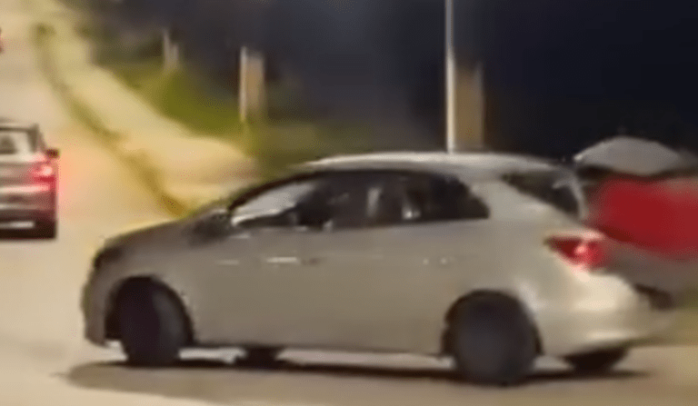 Vídeo mostra motorista levando abrigo de cães na avenida das Torres