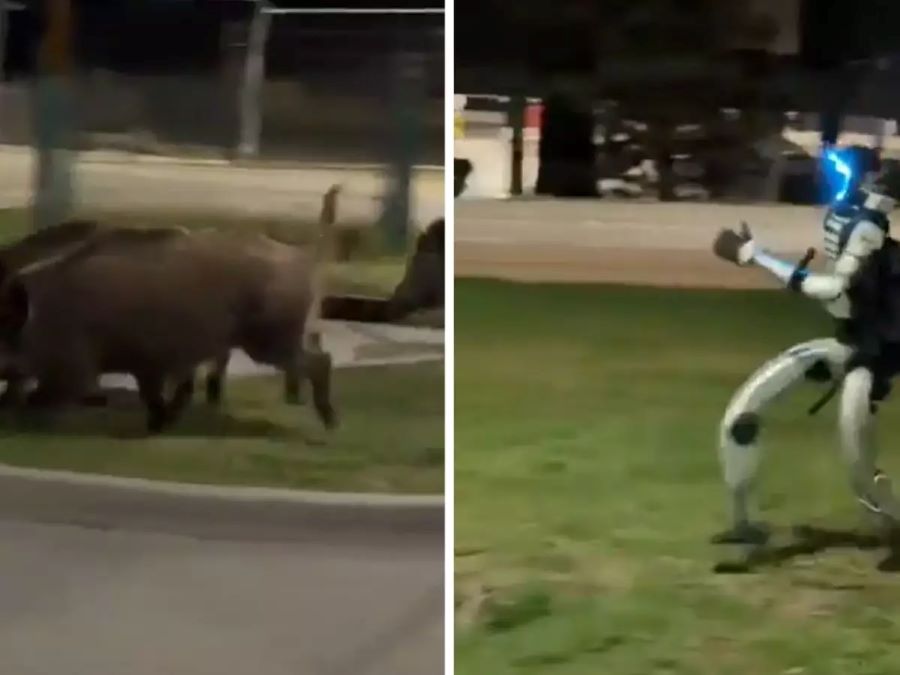 Robô G1 da Unitree Robotics é filmado perseguindo javalis à noite