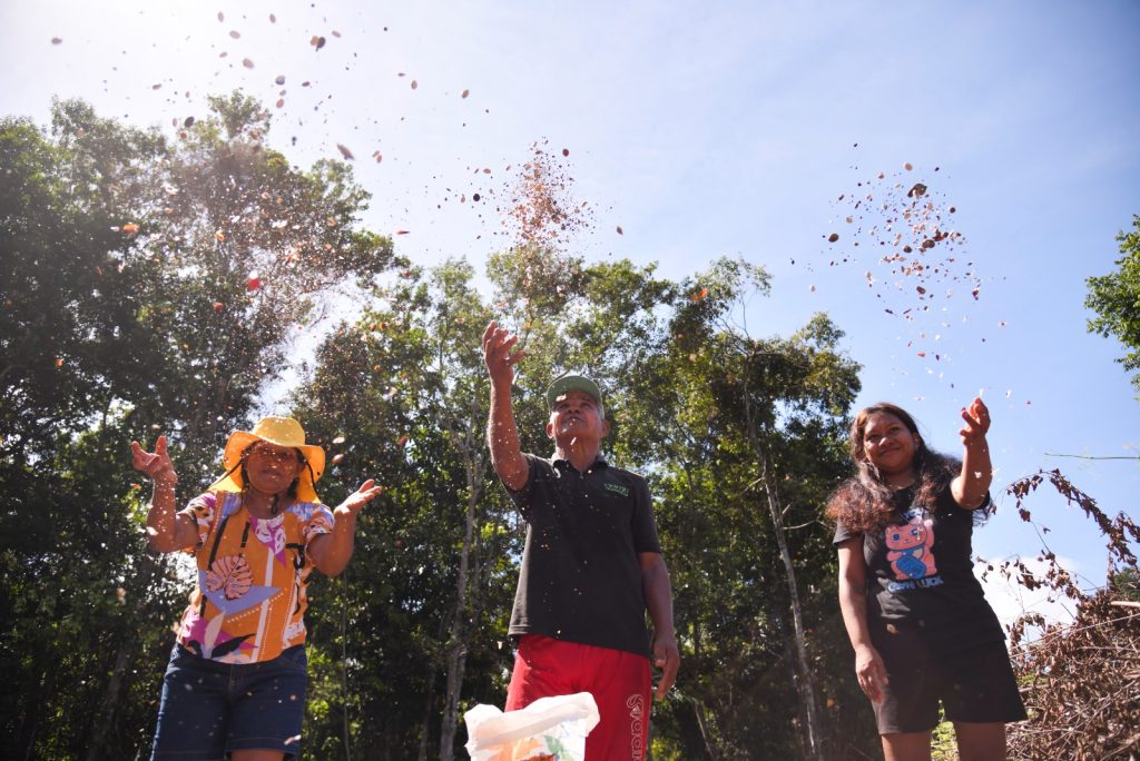 Muvuca de sementes é aplicada em reflorestamento na Flona de Tefé