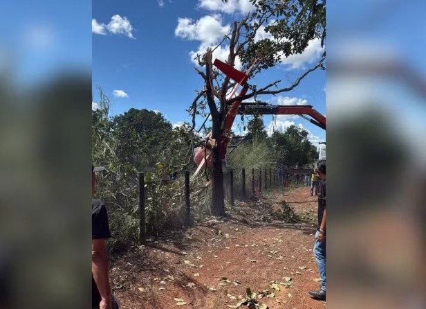 Helicóptero de Henrique e Juliano faz pouso de emergência em Tocantins