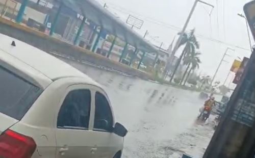 Criminosos armados invadem floricultura em Manaus e causam pânico