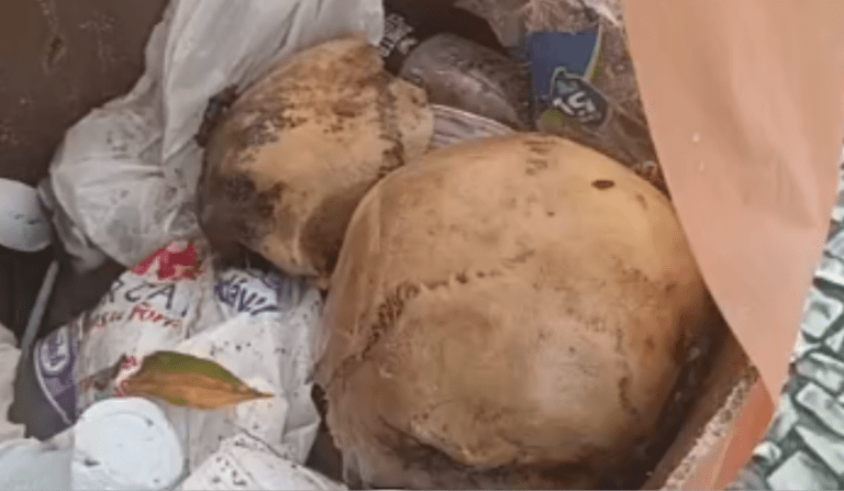 Crânio humano é encontrado na praça Tenreiro Aranha, no Centro de Manaus