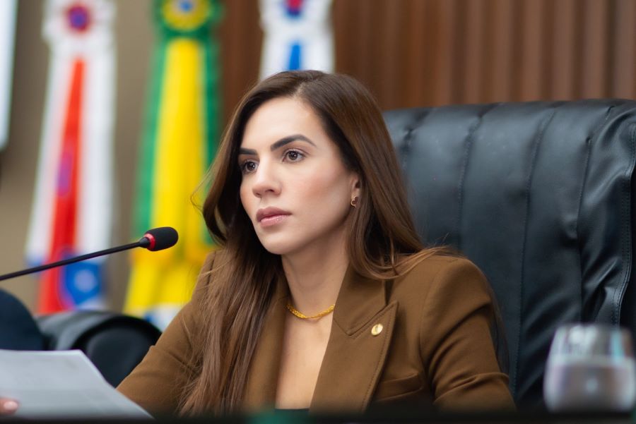 Aleam aprova projeto de Débora Menezes para proteger gestantes em vulnerabilidade