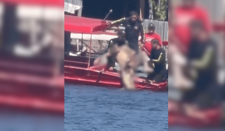 Homem de 37 anos é devorado por piranhas após afogamento em Iranduba