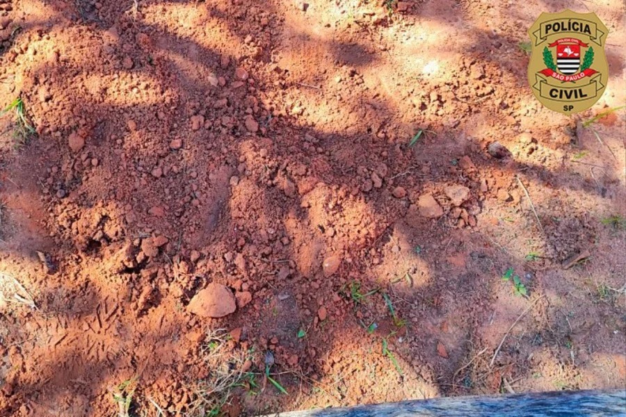 Casal é preso após enterrar e queimar corpo de recém-nascido em SP