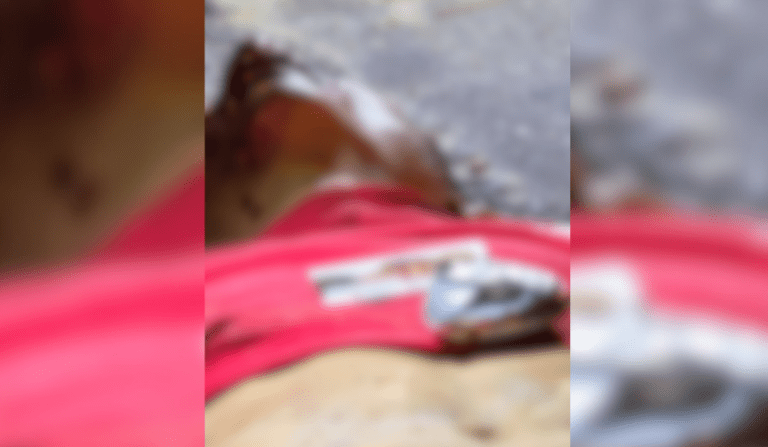 Homem é encontrado morto com cabeça esmagada a pedradas em Manaus