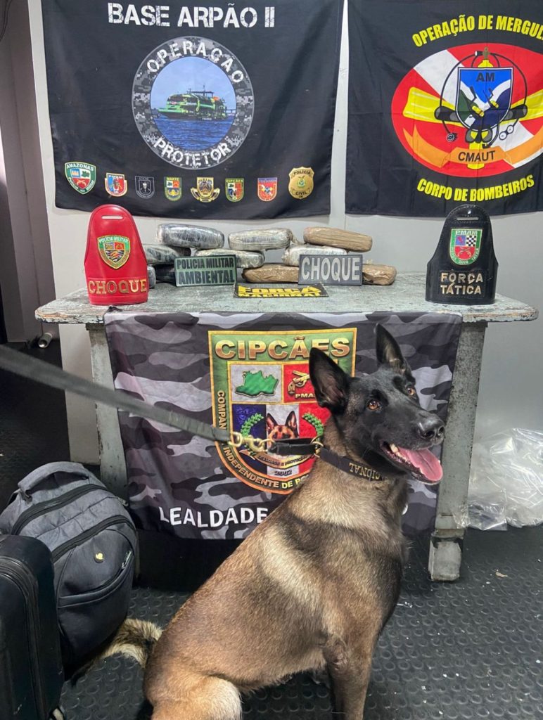 Mulher é presa com 11,7 kg de maconha em embarcação no Amazonas