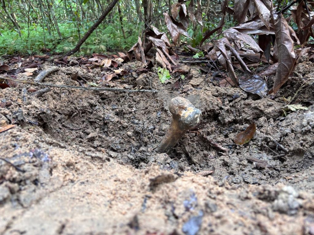 Ossada humana é encontrada em área de mata em Iranduba
