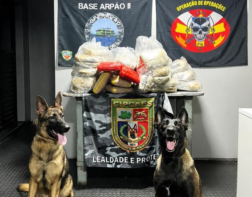 Base Fluvial Arpão 2 apreende 91 kg de drogas no rio Solimões