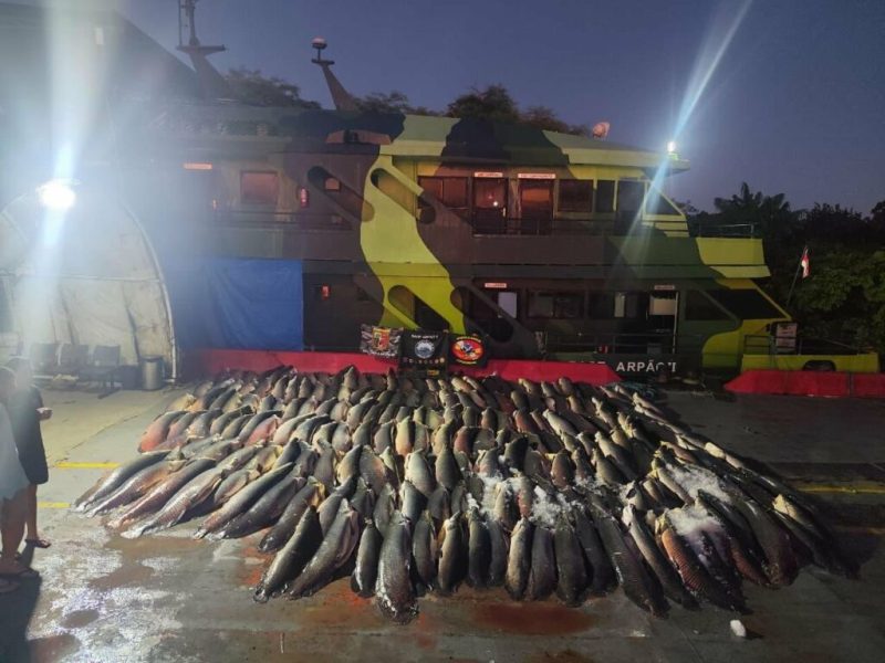 Polícia apreende 26 toneladas de pescado ilegal e doa para ribeirinhos