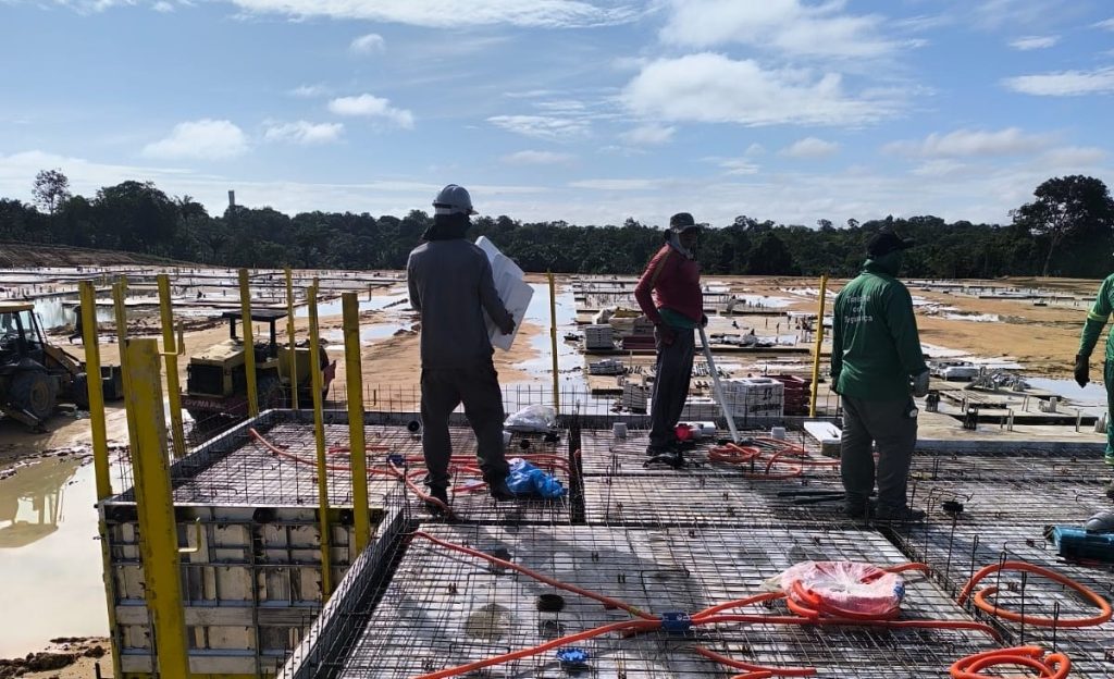 Caroço de tucumã se transforma em bioplástico para construção no Amazonas