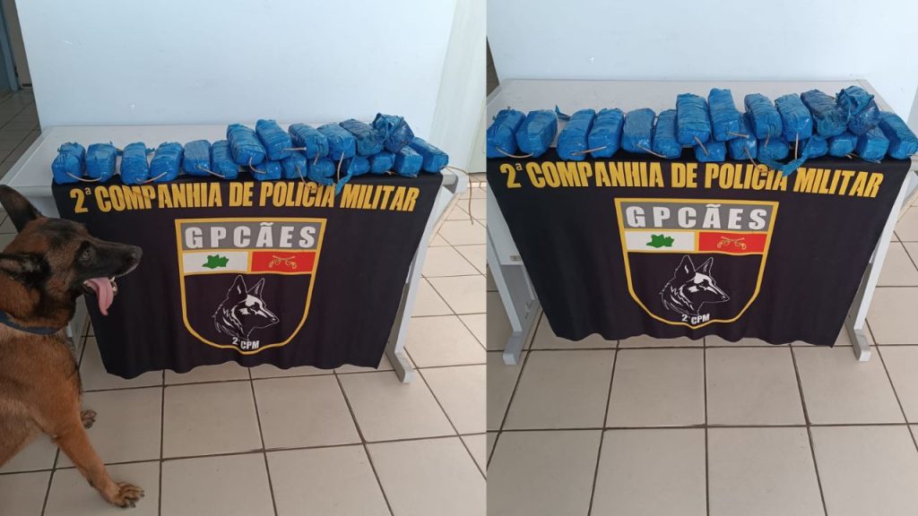 Forças de Segurança apreendem 11 kg de cocaína em embarcação no Amazonas