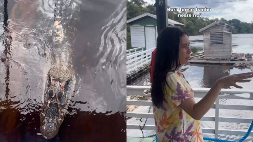 Influenciadora registra encontro com jacaré gigante no Rio Negro