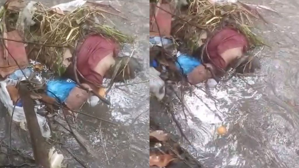 Corpo de mulher é encontrado em igarapé na zona Leste de Manaus