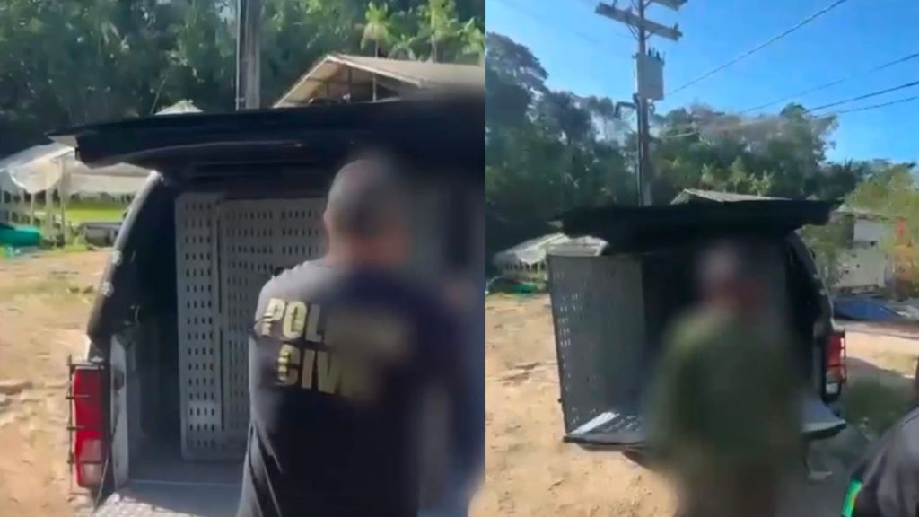 Idoso de 62 anos é preso suspeito de zoofilia contra cadela em Manaus