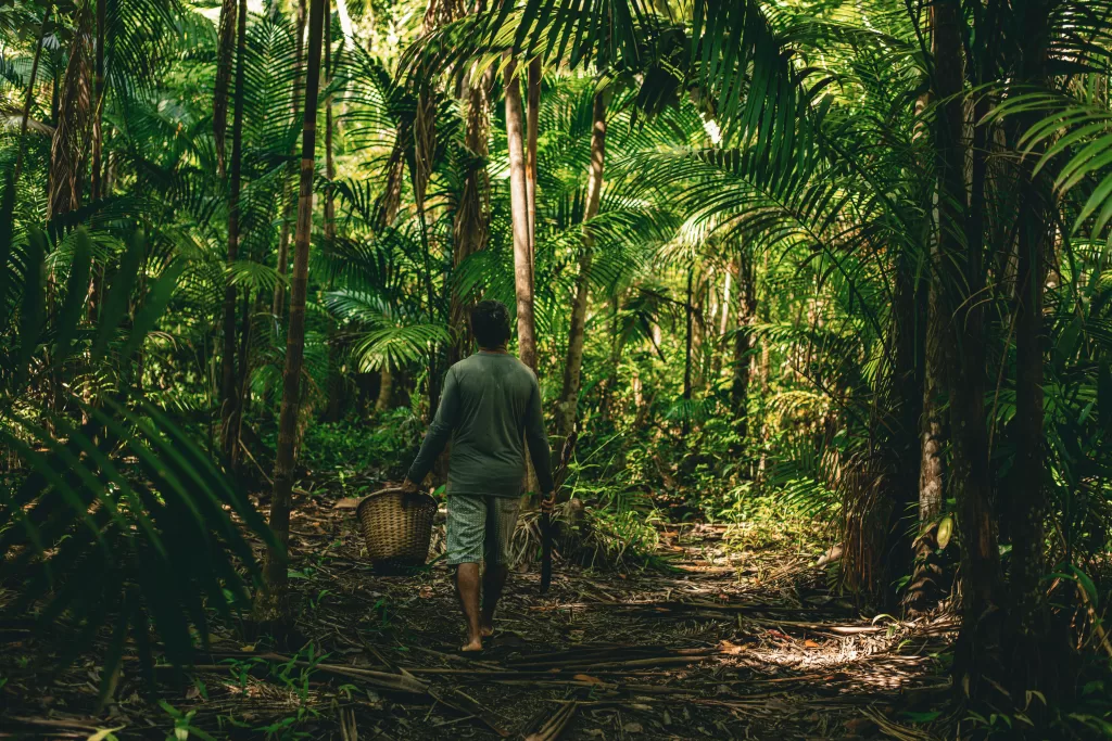 Natura transforma biodiversidade amazônica em beleza e renda