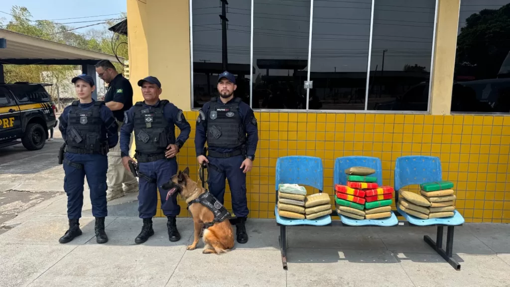 Cadela Zaya da Guarda Municipal de Manaus apreende 30 kg de drogas em ônibus