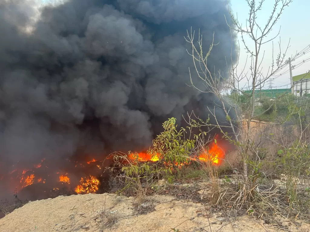 Multas de até R$ 10 mil por hectare para incêndios no Amazonas