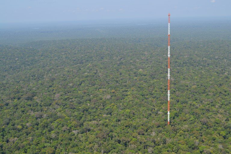 El Niño Intensifica Calor e Reduz Chuva na Amazônia Preservada