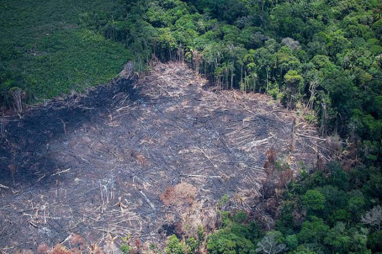 MMA e Anater lançam projeto para recuperar áreas degradadas na Amazônia